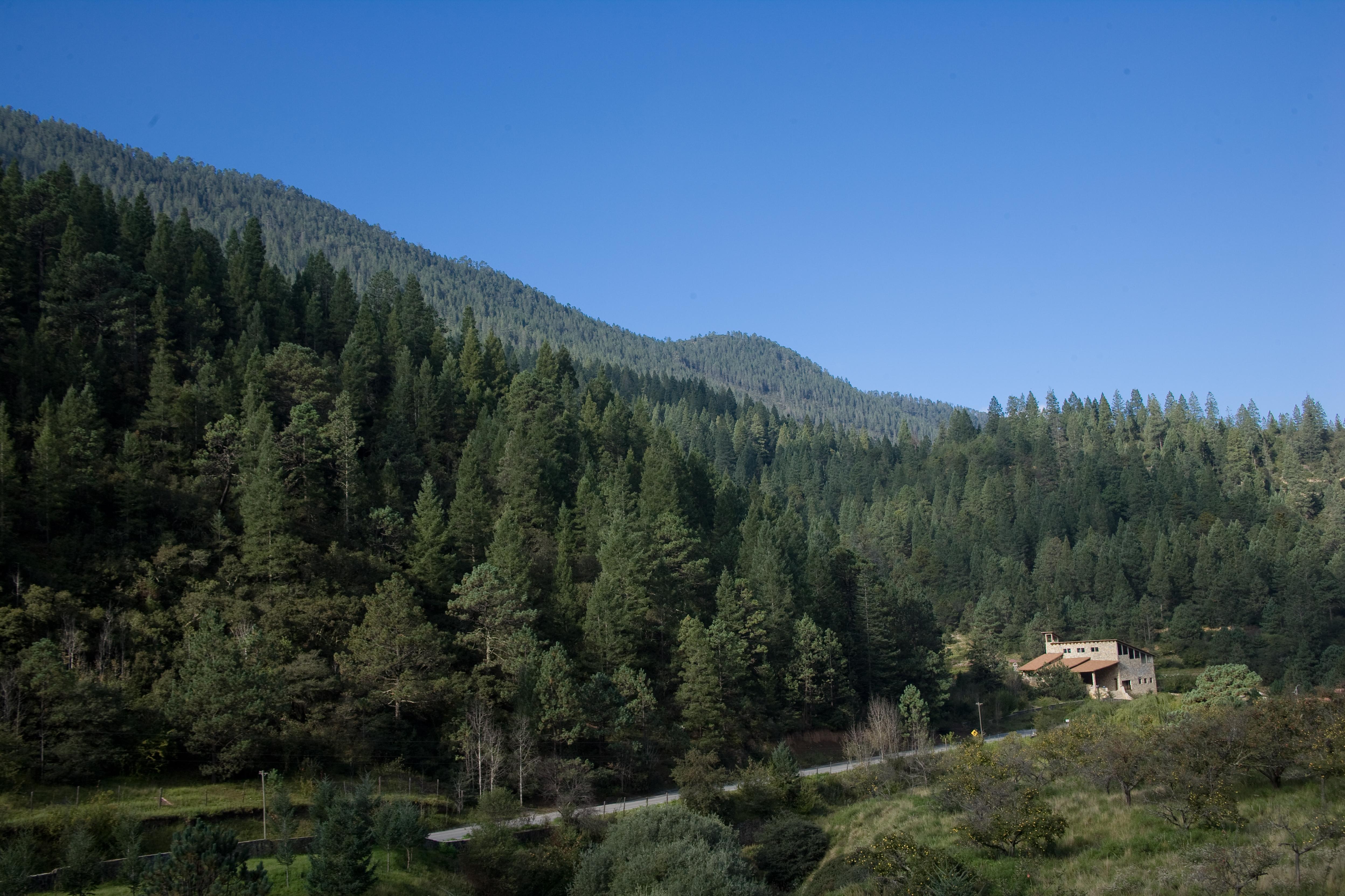 ホテル Bosques De Monterreal San Antonio de las Alazanas エクステリア 写真