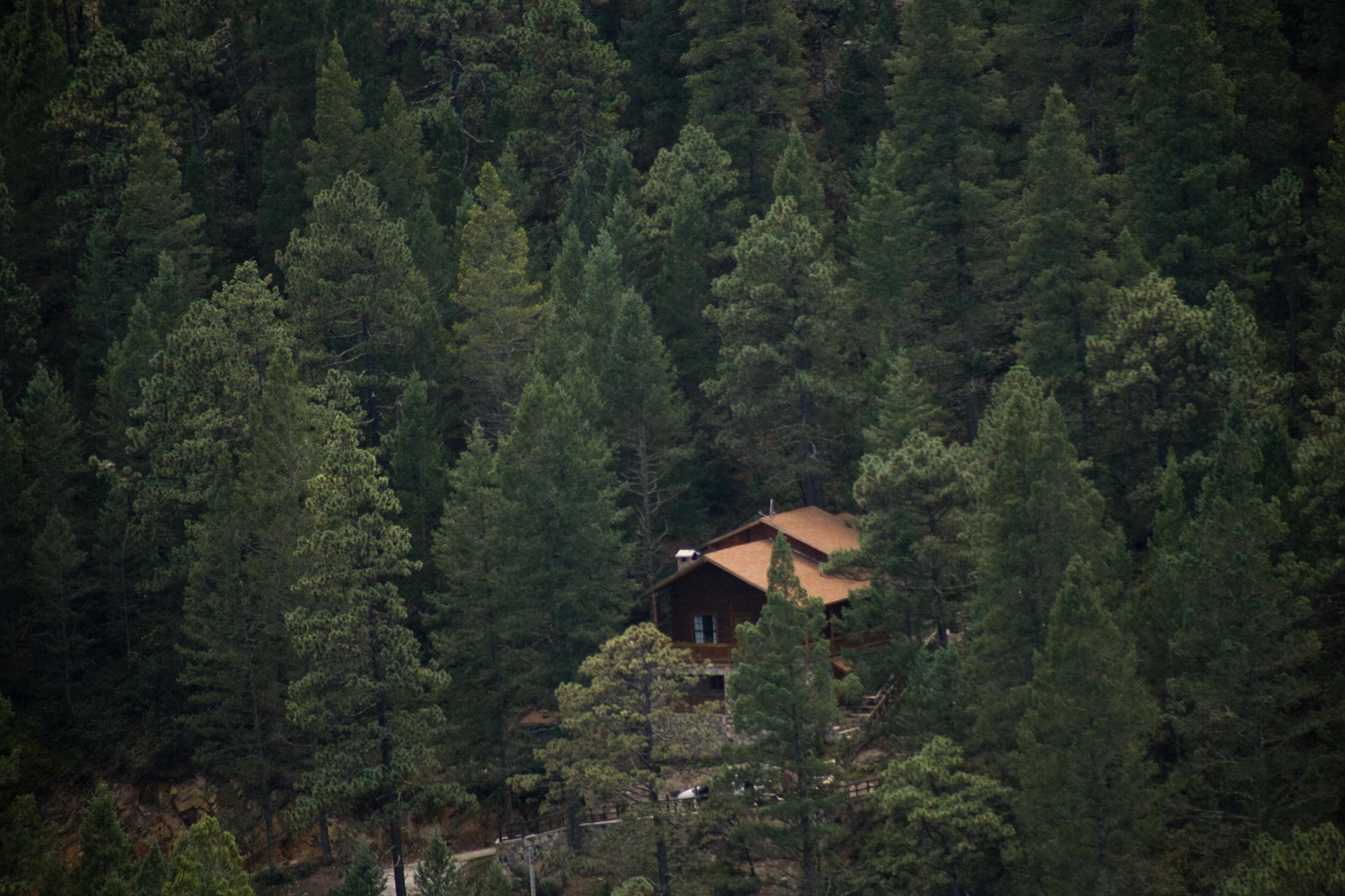 ホテル Bosques De Monterreal San Antonio de las Alazanas エクステリア 写真