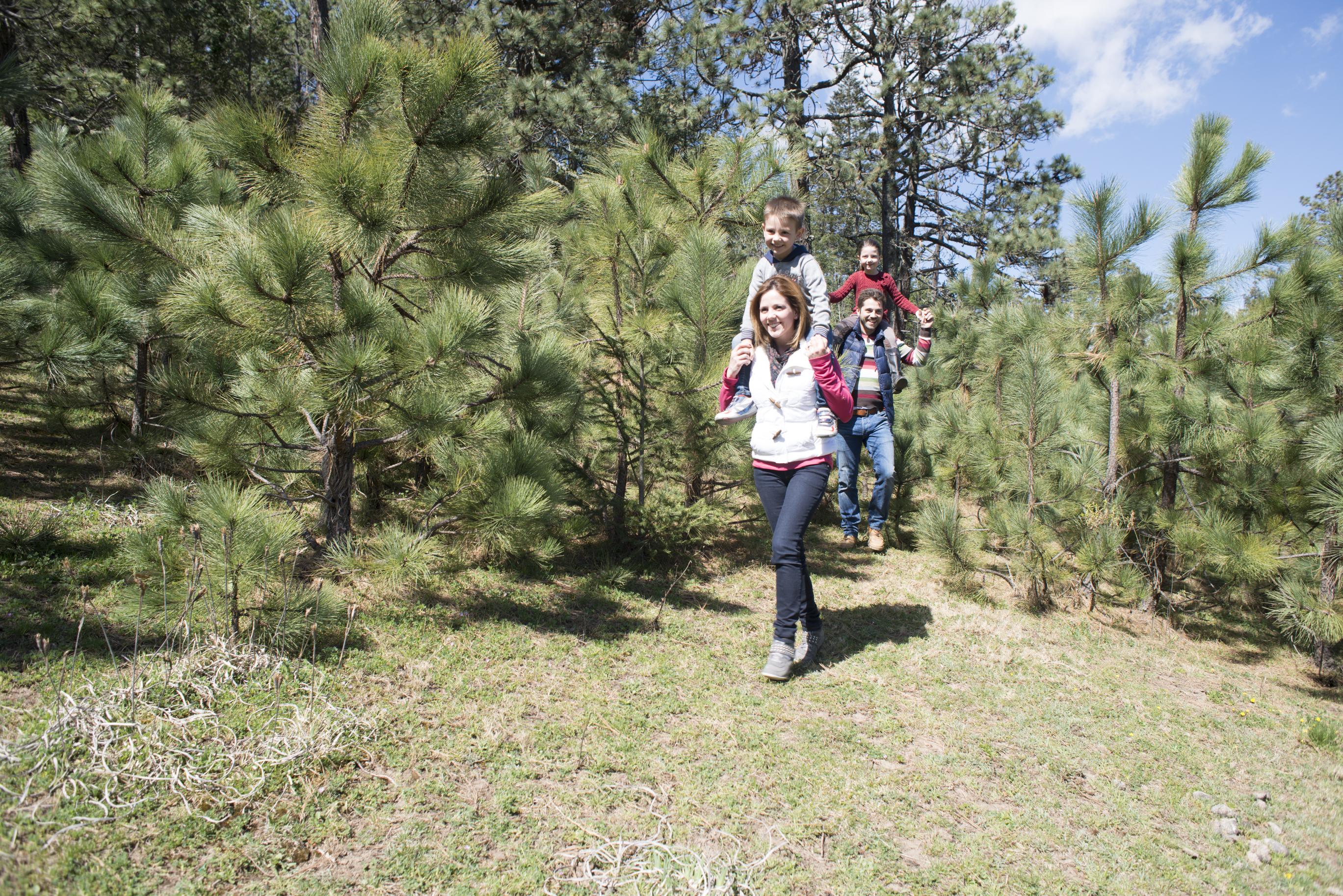 ホテル Bosques De Monterreal San Antonio de las Alazanas エクステリア 写真