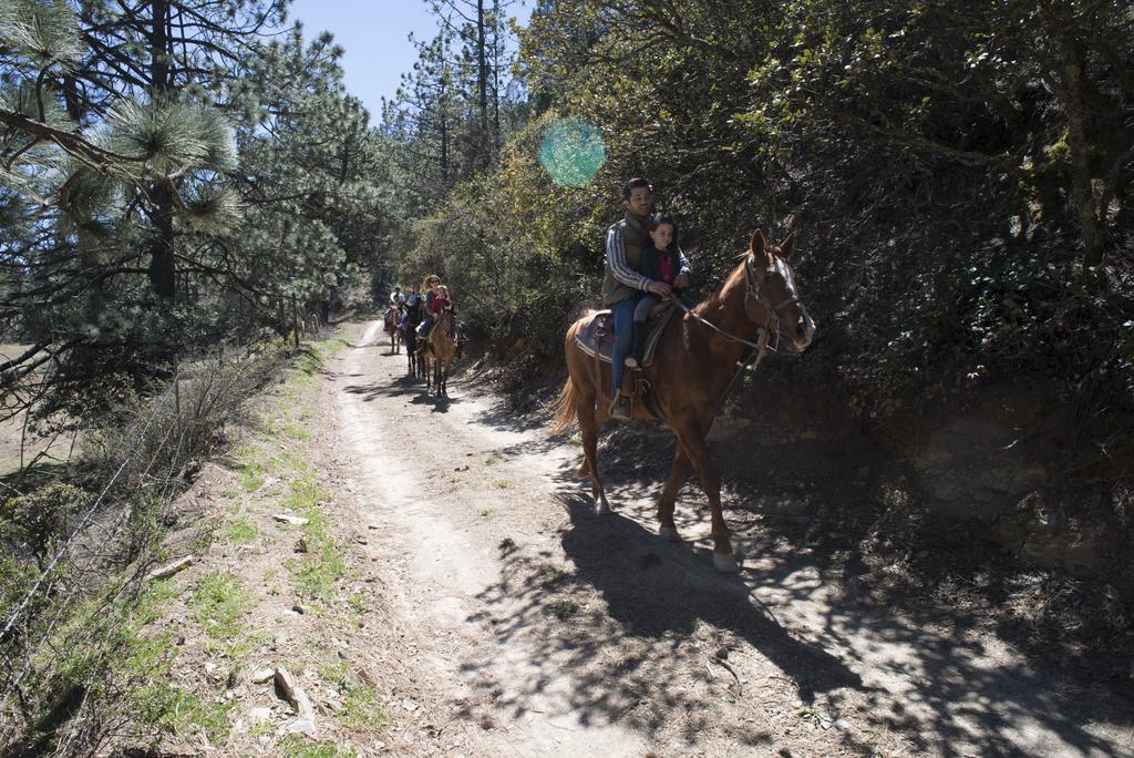 ホテル Bosques De Monterreal San Antonio de las Alazanas エクステリア 写真